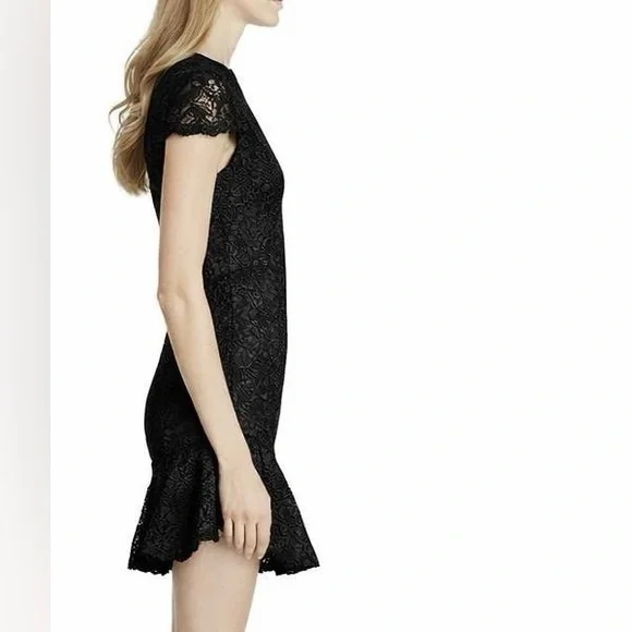 Alice + Olivia Rapunzel Dress - Picture 3 of 16